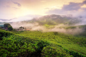 kerela for holiday