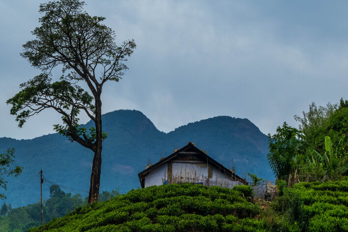 Wayanad