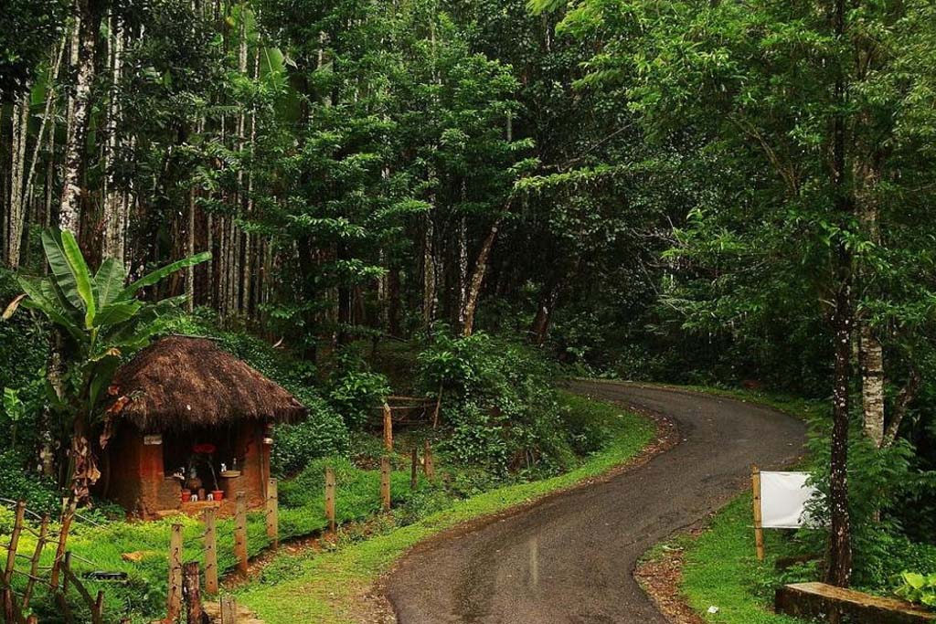bhagvan mahavir wildlife sanctuary goa