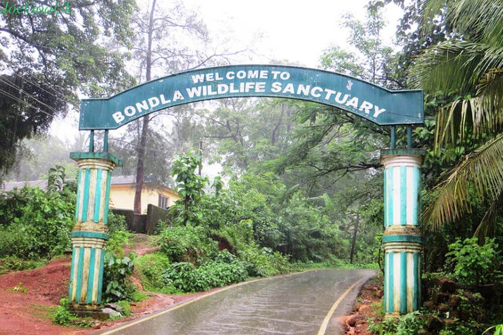 bondla wildlife sanctuary goa