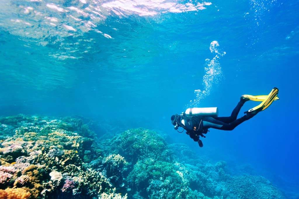 scuba diving goa