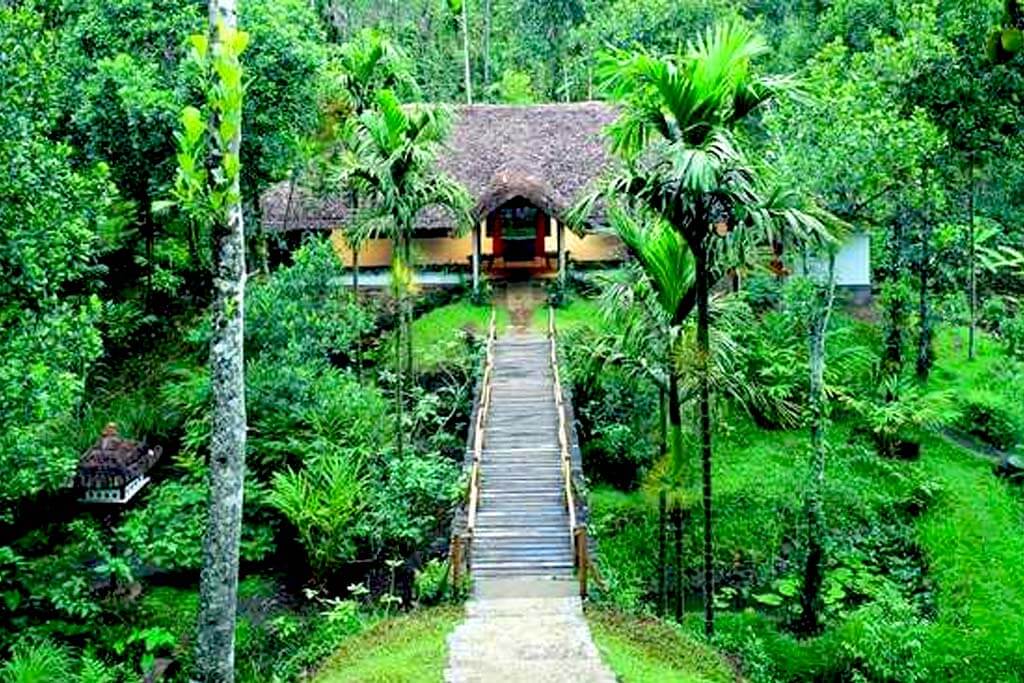 tropical spice plantation goa