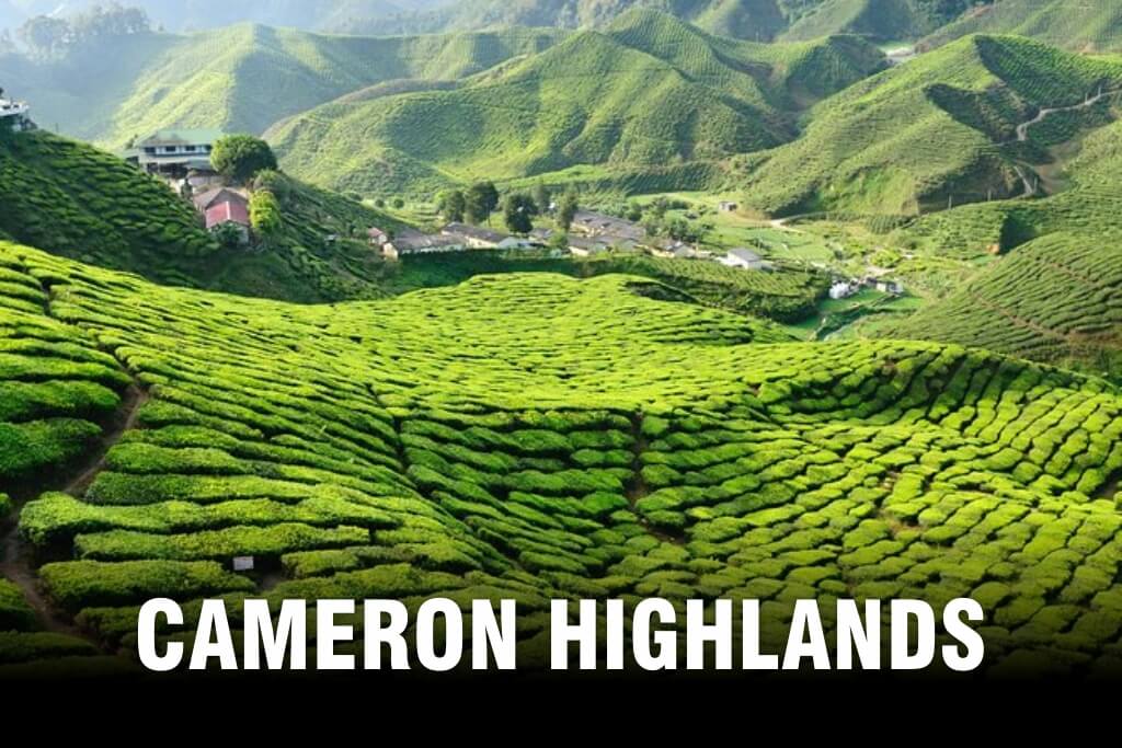 cameron highlands malaysia