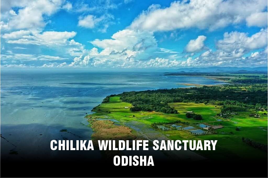 Chilika Wildlife Sanctuary, Odisha