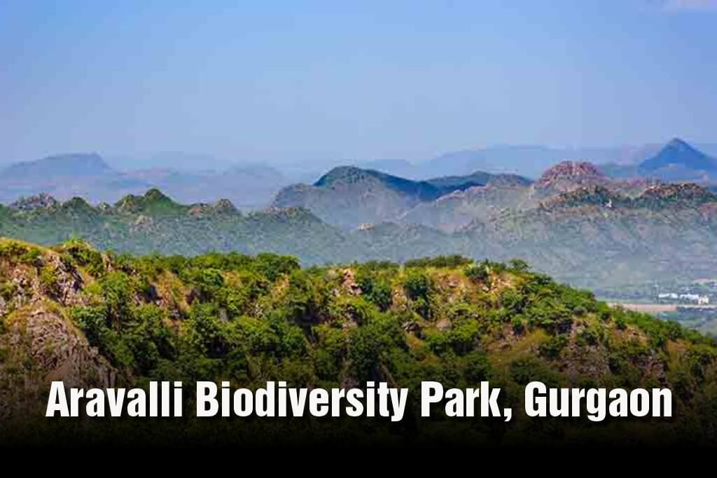Aravalli Biodiversity Park, Gurgaon