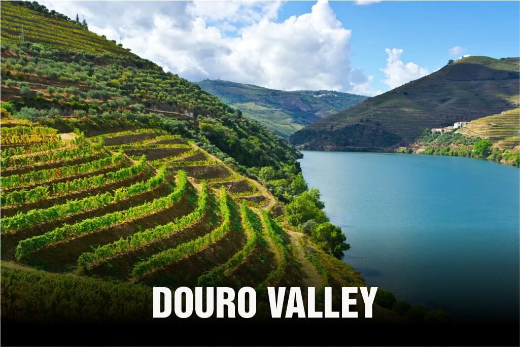 Douro-Valley - Portugal