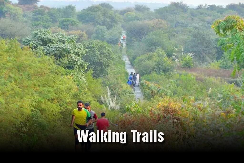 Walking Trails