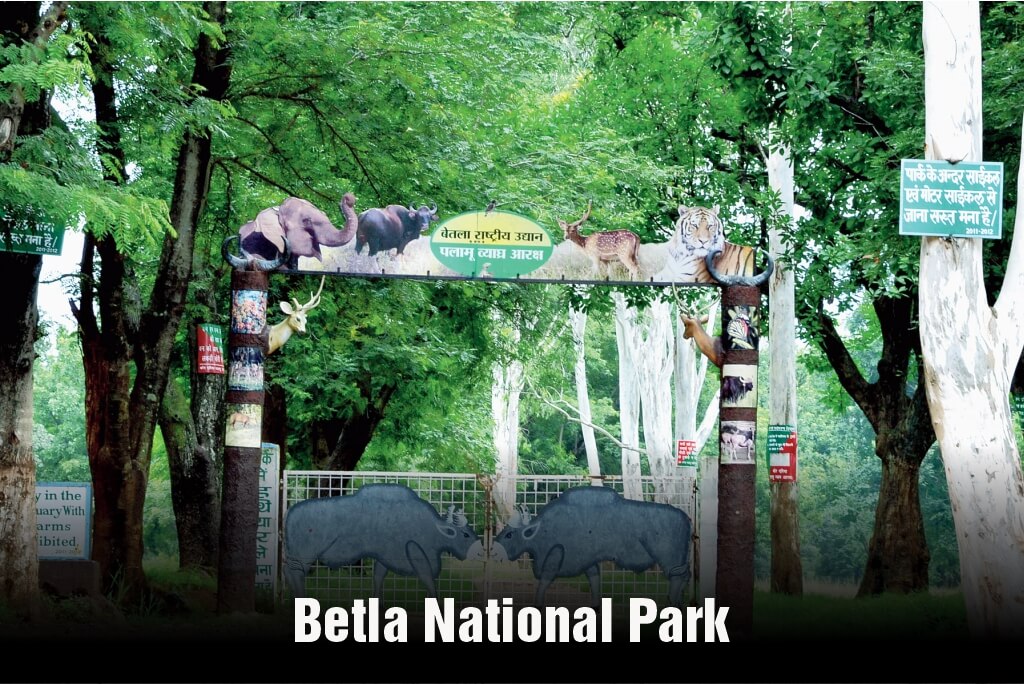 Betla National Park