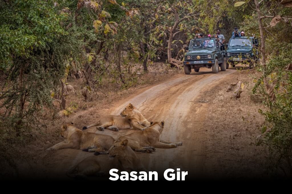 Sasan Gir