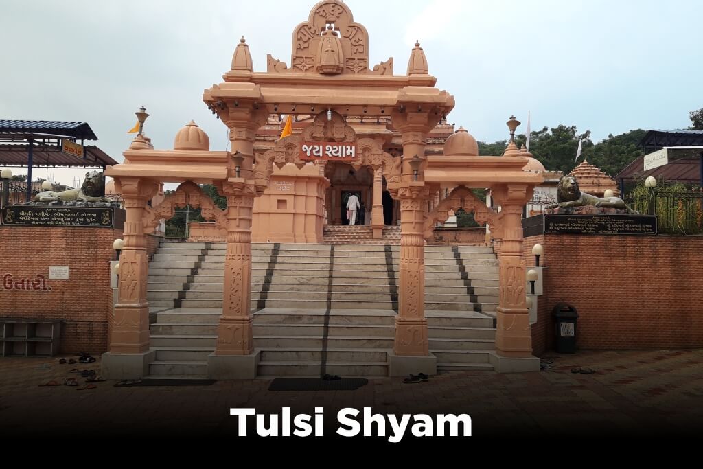 Tulsi Shyam