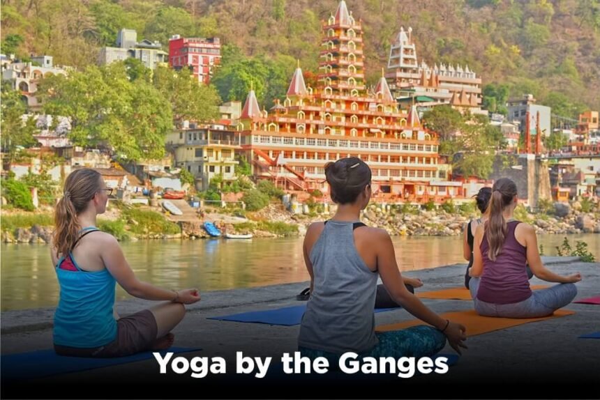 Best Activities to Do in India (2025