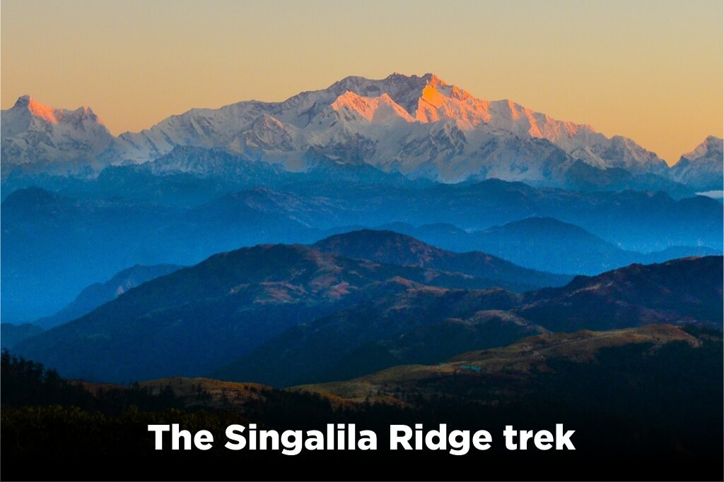 The Singalila Ridge trek