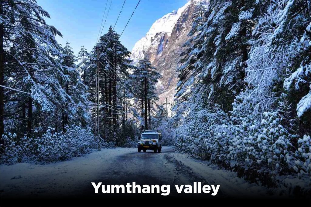 Yumthang-valley