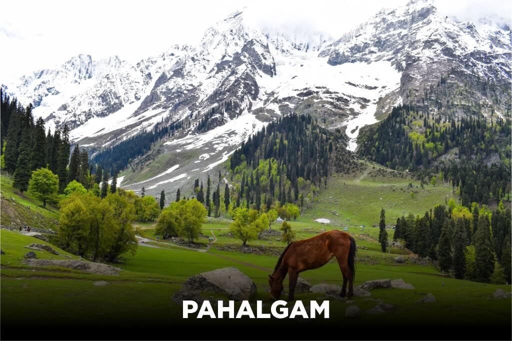 pahalgam