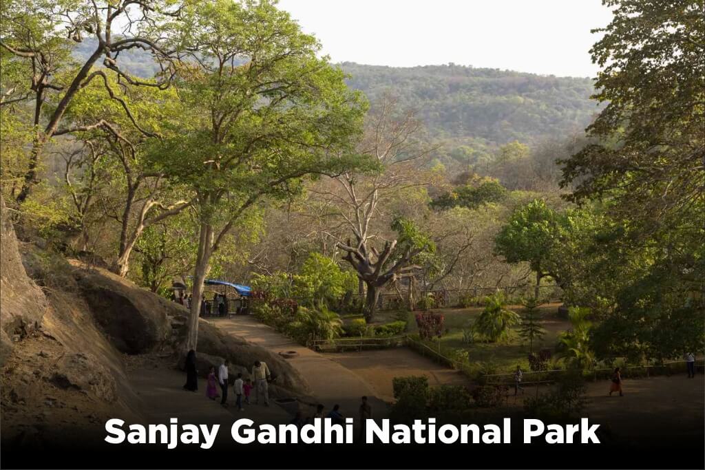 Sanjay Gandhi National Park