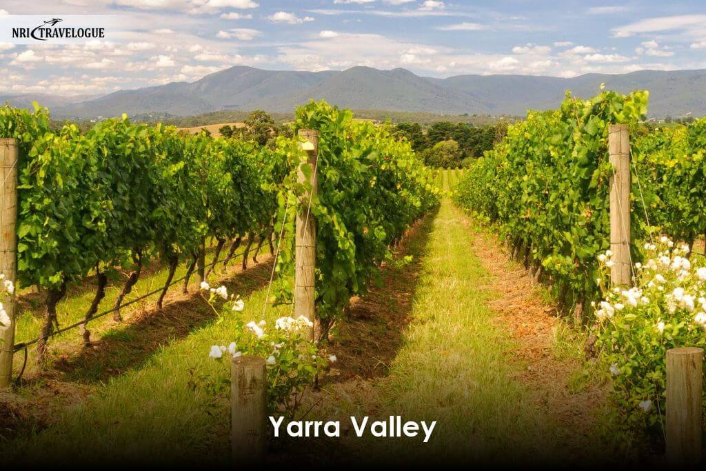 Yarra Valley