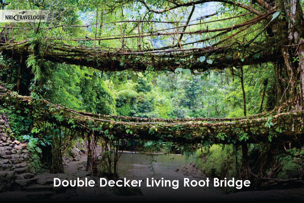 Double Decker Living Root Bridge