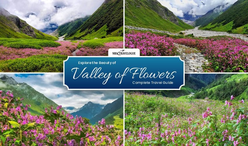 Explore the Beauty of Valley of Flowers – Complete Travel Guide