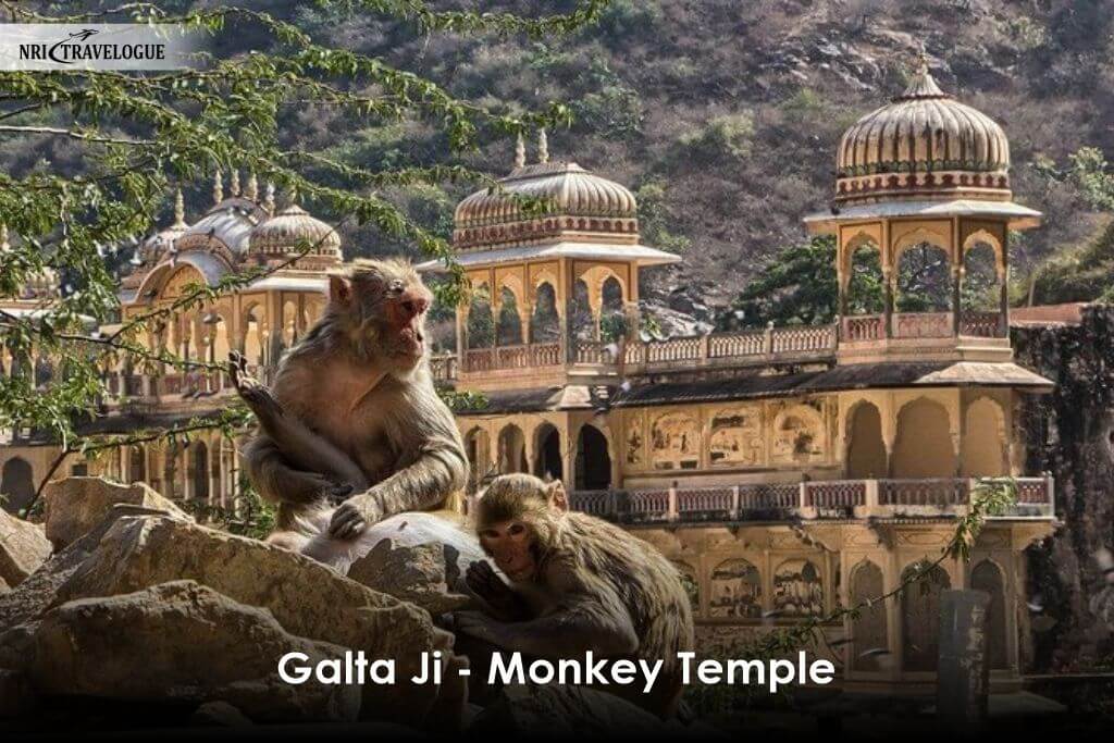 Galta Ji - Monkey Temple