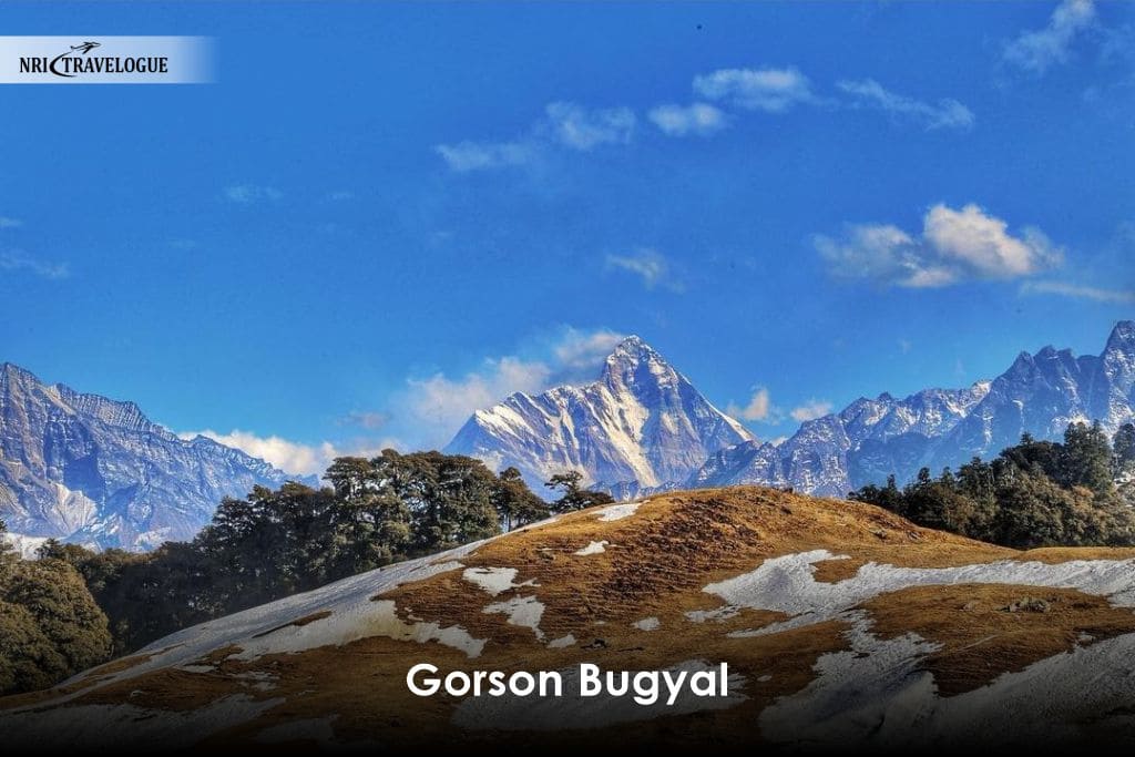 Gorson Bugyal