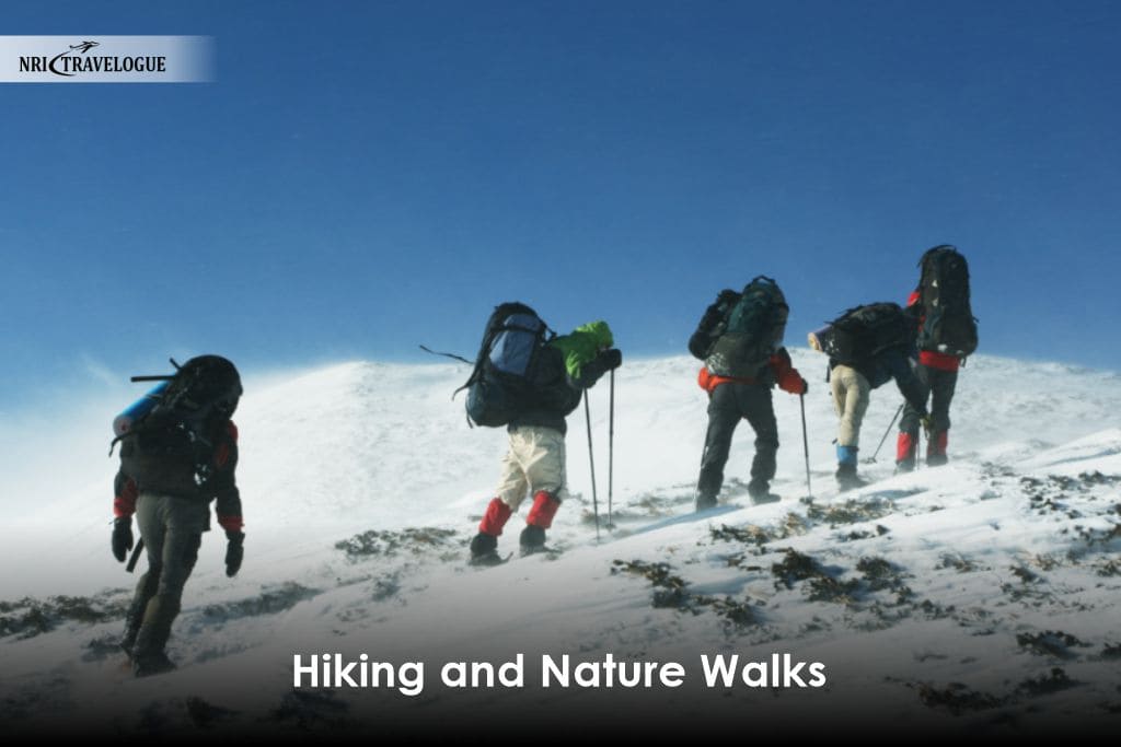 Hiking and Nature Walks
