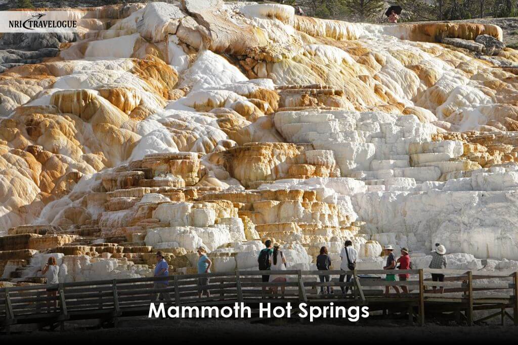 Mammoth Hot Springs