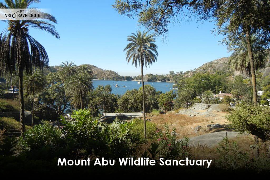 Mount Abu Wildlife Sanctuary