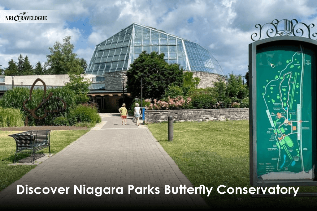 Discover Niagara Parks Butterfly Conservatory