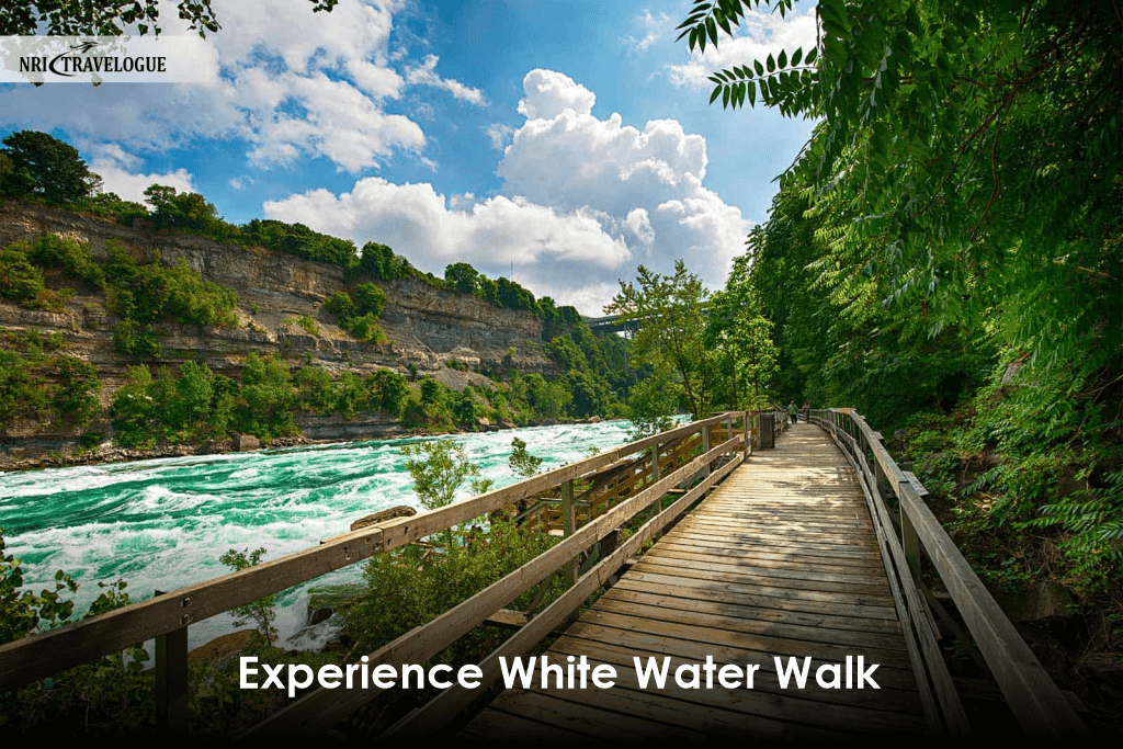 Experience White Water Walk