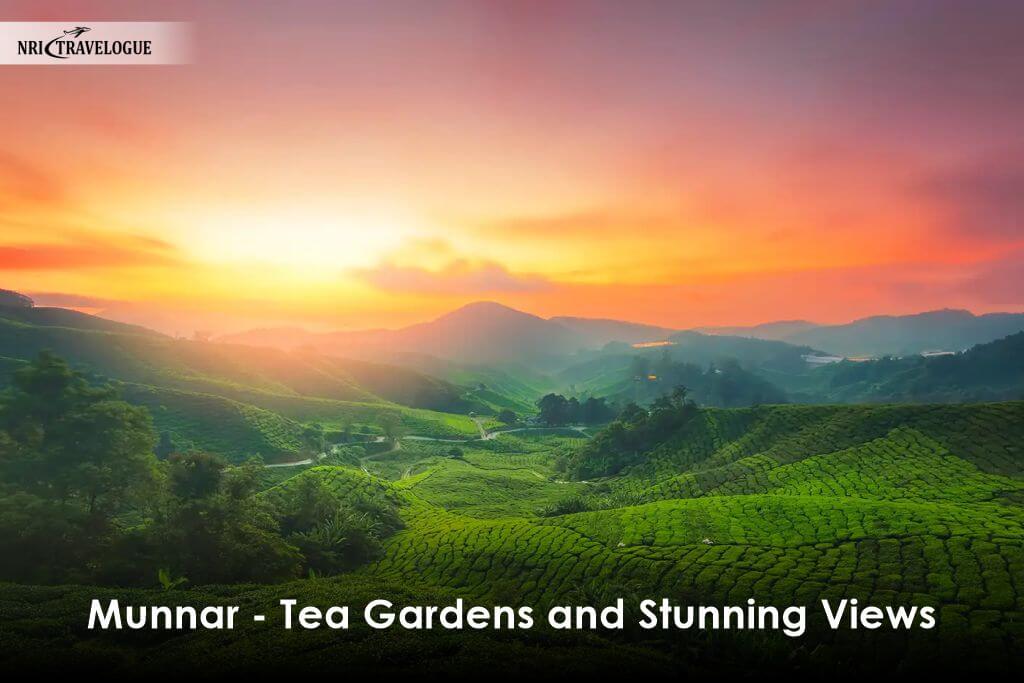 Munnar - Tea Gardens and Stunning Views