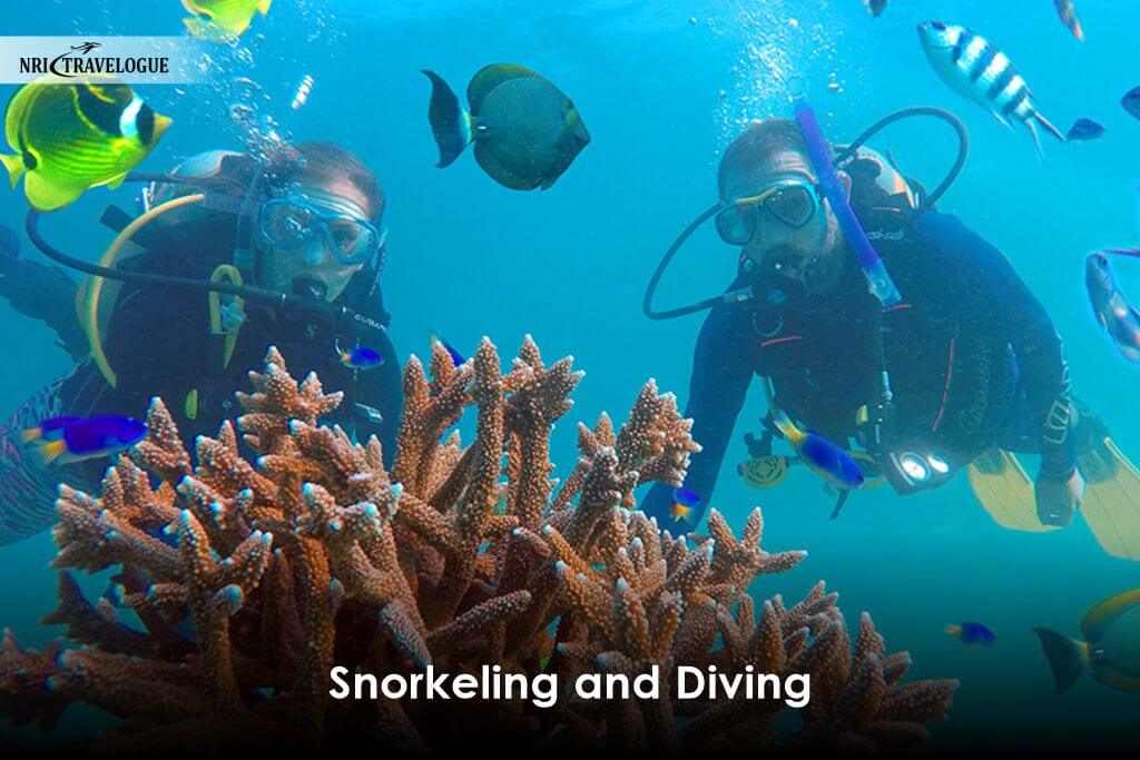 Snorkeling and Diving