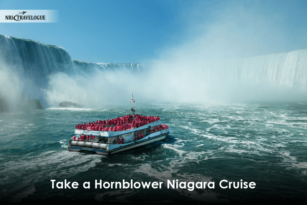 Take a Hornblower Niagara Cruise