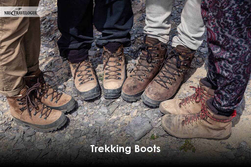 Trekking Boots