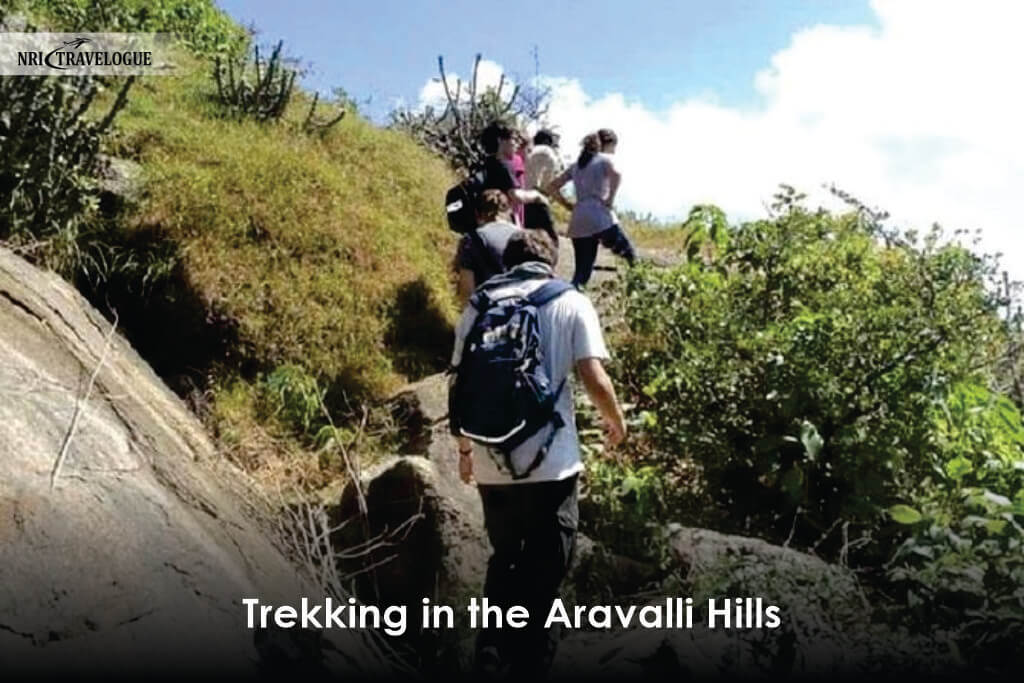 Trekking in the Aravalli Hills