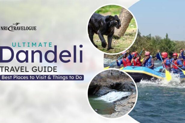 Ultimate Dandeli Travel Guide