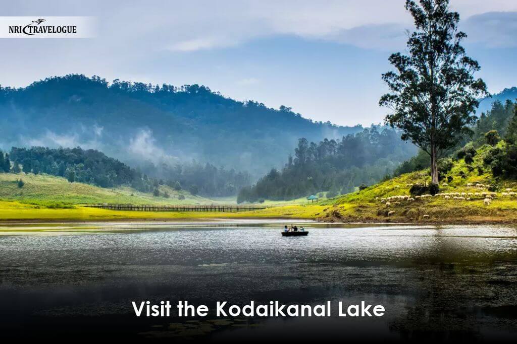 Visit the Kodaikanal Lake