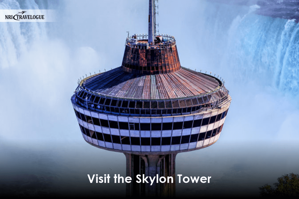 Visit the Skylon Tower