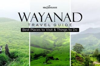 Wayanad Travel Guide: Best Places to Visit & Things to Do