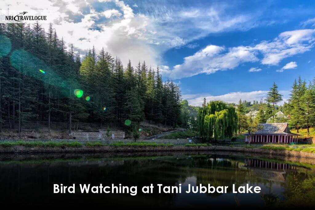 Bird Watching at Tani Jubbar Lake