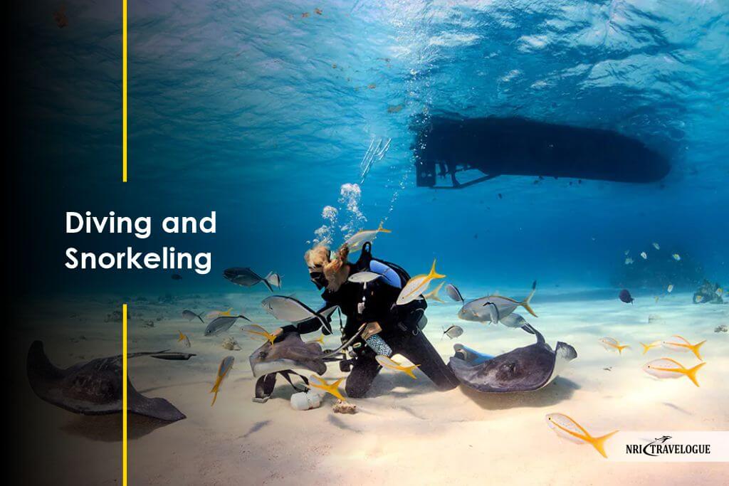 Diving and Snorkeling