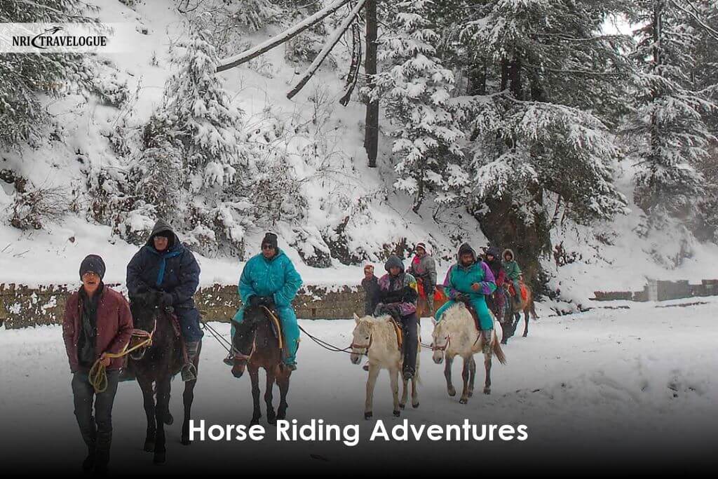 Horse Riding Adventures