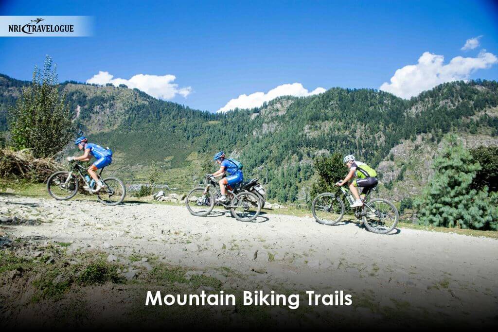 Mountain Biking Trails
