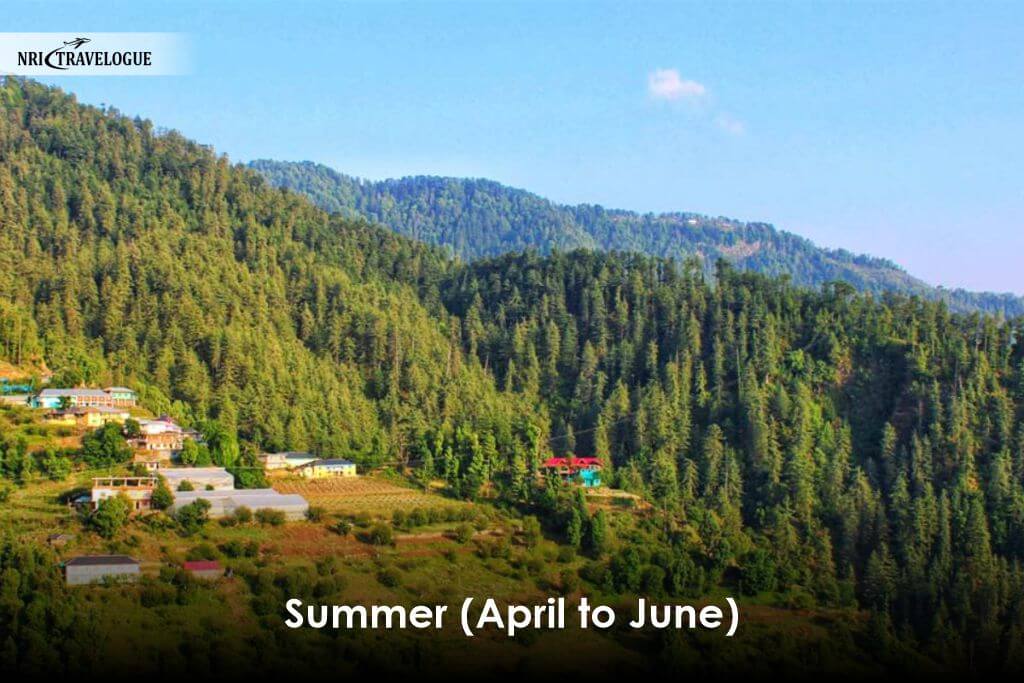 Summer (April to June)