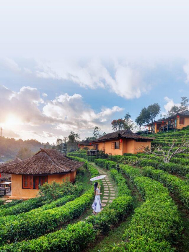 Discover Darjeeling – A Peaceful Hill Escape