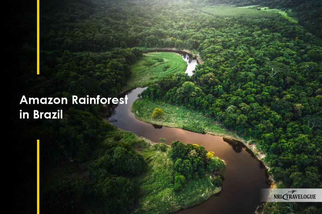 Amazon Rainforest in Brazil