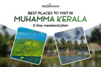 Best Places to visit in Muhamma Kerala