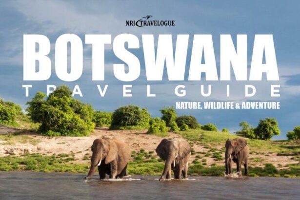 Botswana Travel Guide: Nature, Wildlife & Adventure
