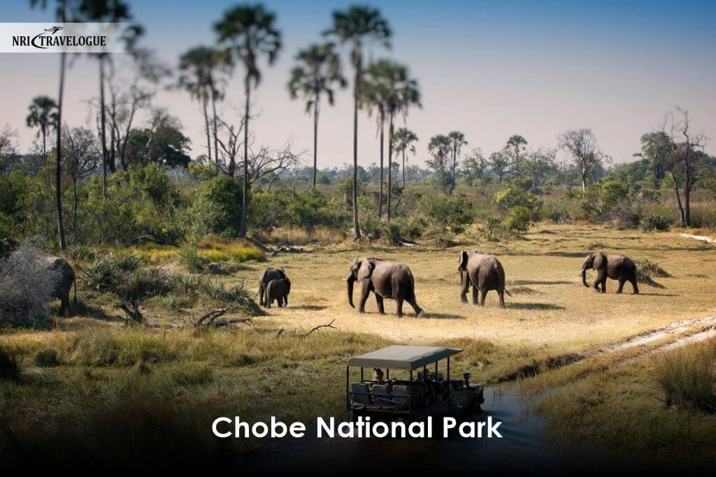 Chobe National Park