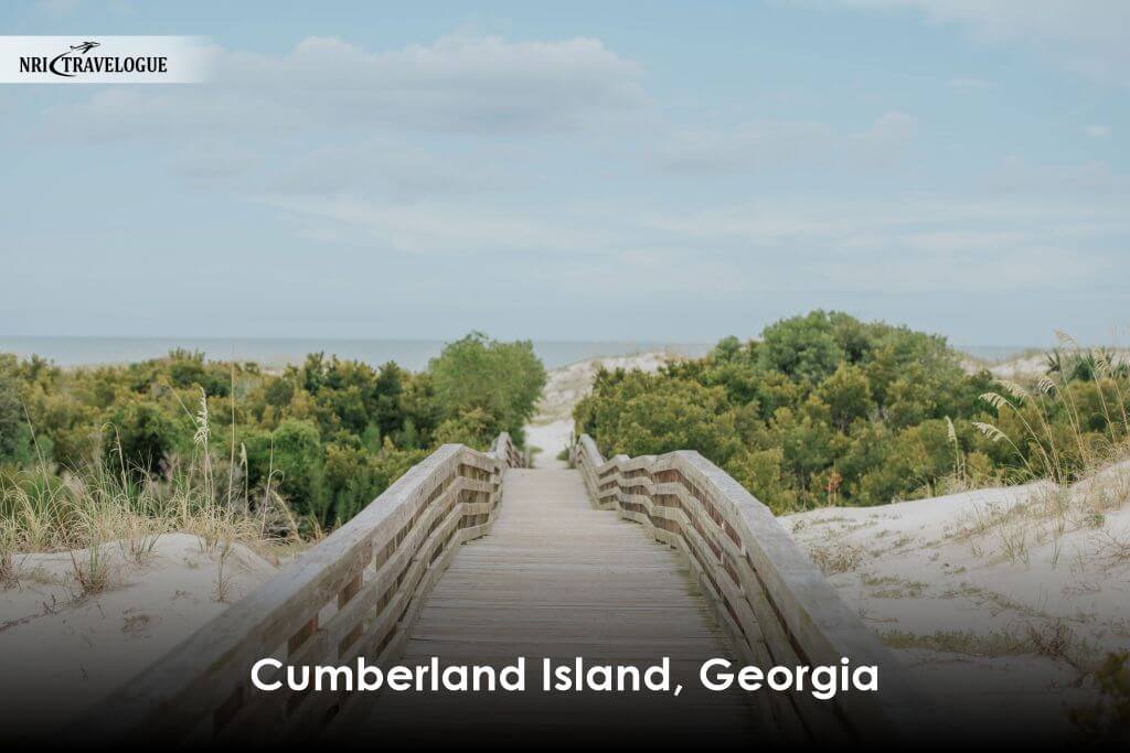 Cumberland Island