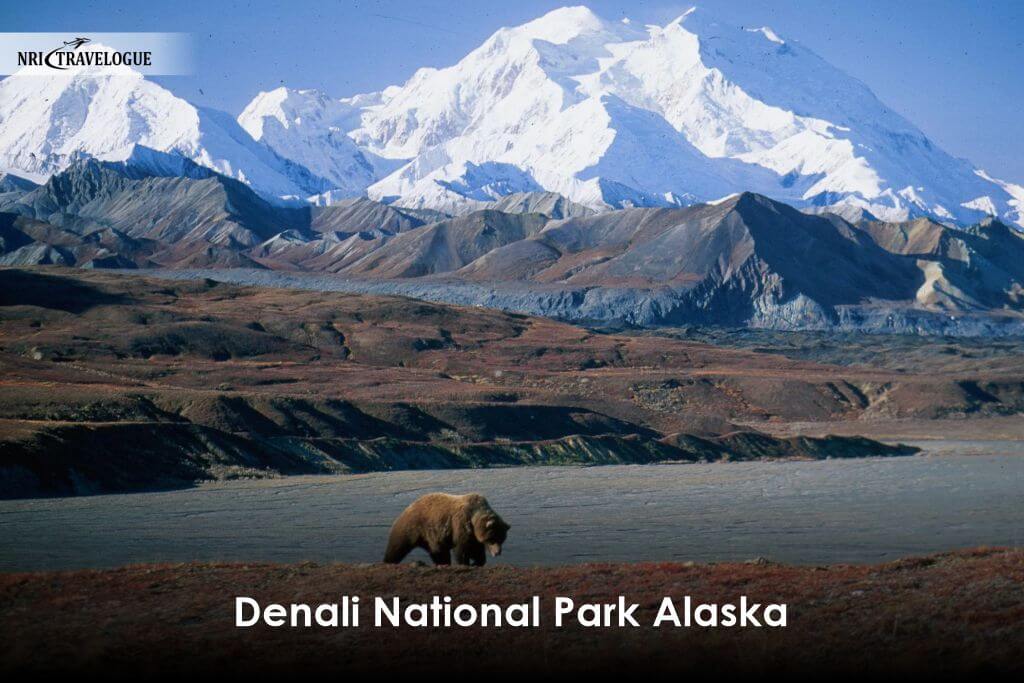 Denali National Park Alaska